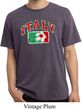 Italy Pigment Dyed Shirt