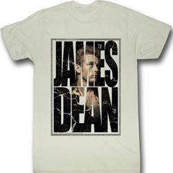 James Dean Shirt James Cracked Adult Dirty White Tee T-Shirt