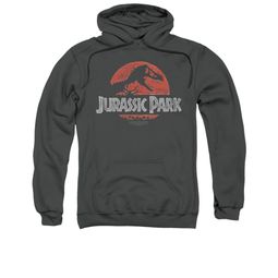 Jurassic Park Hoodie Sweatshirt Faded Logo Charcoal Adult Hoody Sweat Shirt Jurassic Park Hoodie Sweatshirt Faded Logo Charcoal Adult Hoody Sweat Shirt