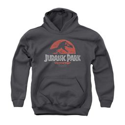 Jurassic Park Youth Hoodie Faded Logo Charcoal Kids Hoody Jurassic Park Youth Hoodie Faded Logo Charcoal Kids Hoody