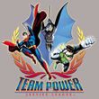 Justice League Juniors T-shirt Team Power Heather Gray Tee Shirt