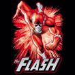 Justice League Kids T-shirt The Flash Red and Gray Youth Black Shirt
