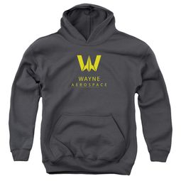 Justice League Movie Kids Hoodie Wayne Aerospace Charcoal Youth Hoody Justice League Movie Kids Hoodie Wayne Aerospace Charcoal Youth Hoody