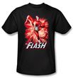 Justice League T-shirt The Flash Red and Gray Black Tee