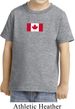Kids Canada Tee Canadian Flag Small Print Toddler Shirt