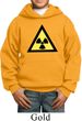 Kids Fallout Hoodie Radioactive Triangle Hoody