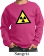 Kids Fallout Sweatshirt Radioactive Triangle Sweat Shirt