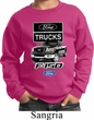 Kids Ford Sweatshirt F-150 Truck Sweat Shirt