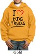 Kids Funny Hoodie I Love Big Trucks Hoody