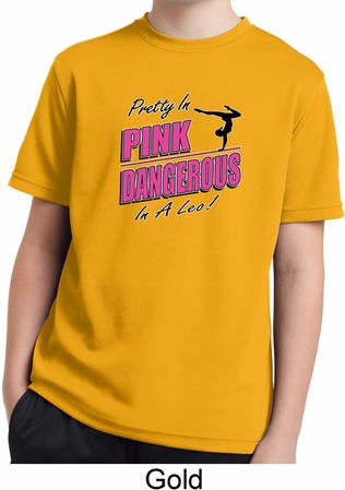 Kids Gymnastics Shirt Pretty in Pink Moisture Wicking Tee T-Shirt