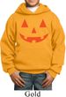 Kids Halloween Hoodie Orange Jack O Lantern Hoody