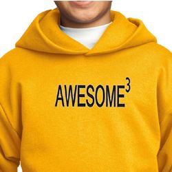 Kids Hoodie Awesome Cubed Hoody