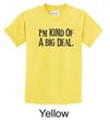 Kids Shirts Kind of a Big Deal Black Print Tee T-Shirt