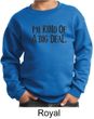 Kids Sweatshirt Kind of a Big Deal Black Print Sweat Shirt