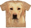 LABRADOR Adult Tie Dye T-shirt - CLEARANCE