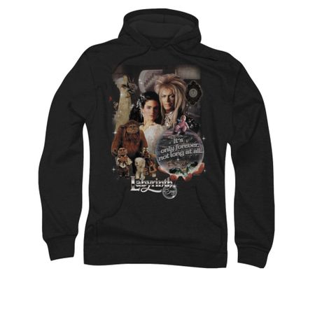 Labyrinth Hoodie Sweatshirt 25 Years Of Magic Black Adult Hoody Sweat Shirt