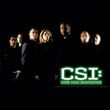Ladies CSI: Crime Scene Investigation T-shirt - Shadow Cast Black Tee