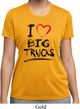 Ladies Funny Shirt I Love Big Trucks Moisture Wicking Tee T-Shirt