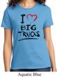 Ladies Funny Shirt I Love Big Trucks Tee T-Shirt