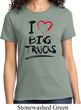 Ladies Funny Shirt I Love Big Trucks Tee T-Shirt