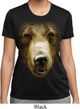 Ladies Shirt Big Grizzly Bear Face Moisture Wicking Tee T-Shirt