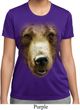 Ladies Shirt Big Grizzly Bear Face Moisture Wicking Tee T-Shirt