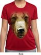 Ladies Shirt Big Grizzly Bear Face Moisture Wicking Tee T-Shirt