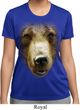 Ladies Shirt Big Grizzly Bear Face Moisture Wicking Tee T-Shirt
