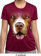 Ladies Shirt Big Pit Bull Face Moisture Wicking Tee T-Shirt
