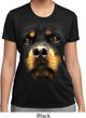 Ladies Shirt Big Rottweiler Face Moisture Wicking Tee T-Shirt