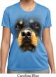 Ladies Shirt Big Rottweiler Face Moisture Wicking Tee T-Shirt