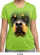 Ladies Shirt Big Rottweiler Face Moisture Wicking Tee T-Shirt