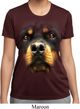 Ladies Shirt Big Rottweiler Face Moisture Wicking Tee T-Shirt