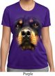 Ladies Shirt Big Rottweiler Face Moisture Wicking Tee T-Shirt