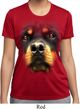 Ladies Shirt Big Rottweiler Face Moisture Wicking Tee T-Shirt