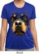 Ladies Shirt Big Rottweiler Face Moisture Wicking Tee T-Shirt