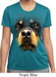 Ladies Shirt Big Rottweiler Face Moisture Wicking Tee T-Shirt