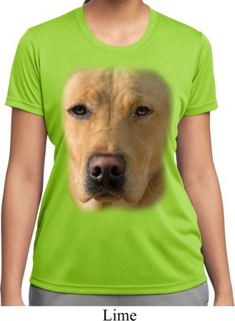 Ladies Shirt Big Yellow Lab Face Moisture Wicking Tee T-Shirt