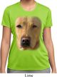 Ladies Shirt Big Yellow Lab Face Moisture Wicking Tee T-Shirt