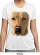 Ladies Shirt Big Yellow Lab Face Moisture Wicking Tee T-Shirt