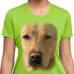 Ladies Shirt Big Yellow Lab Face Moisture Wicking Tee T-Shirt
