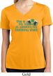 Ladies Shirt Official Drinking Shirt Moisture Wicking V-neck Tee