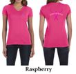 Ladies Shirt Pink Ribbon Save a Rack Front & Back Print V-neck Tee