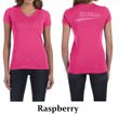 Ladies Shirt Pink Ribbon Save the Boobies Front & Back V-neck Tee