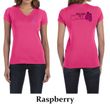 Ladies Shirt Pink Ribbon Walkin For a Cure Front & Back V-neck Tee