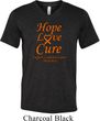 Leukemia Cancer Hope Love Cure Tri Blend V-neck