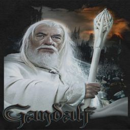 Lord Of The Rings Gandalf Shirts