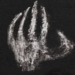 Lord Of The Rings Hand Of Saruman Shirts
