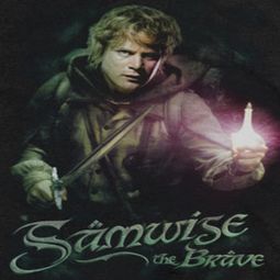 Lord Of The Rings Samwise Shirts