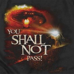 Lord Of The Rings Shall Not Pass Shirts